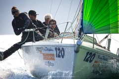 DOLPHIN 81