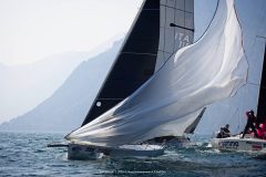 DOLPHIN 81