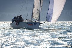 DOLPHIN 81
