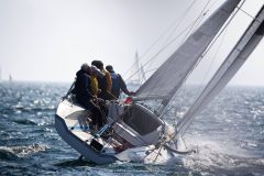 DOLPHIN 81