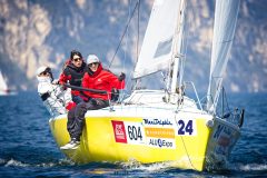 DOLPHIN 81