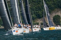 DOLPHIN 81