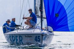 DOLPHIN 81
