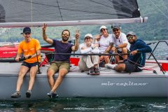 DOLPHIN 81