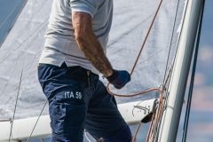 DOLPHIN 81