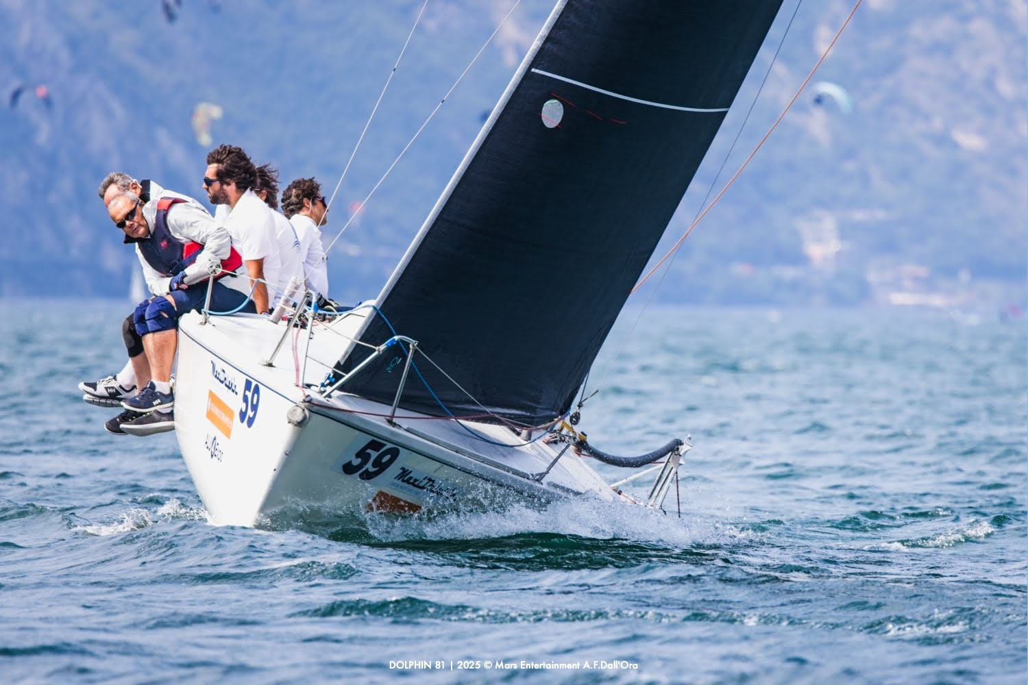 DOLPHIN 81