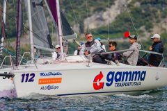 DOLPHIN 81