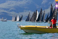 DOLPHIN 81