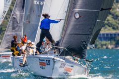 DOLPHIN 81